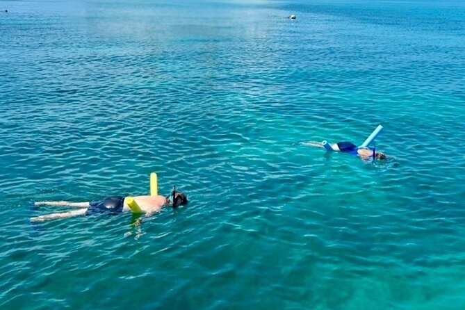 Private 6-person Sandbar & Snorkeling Charter - A Detailed Look at the Experience