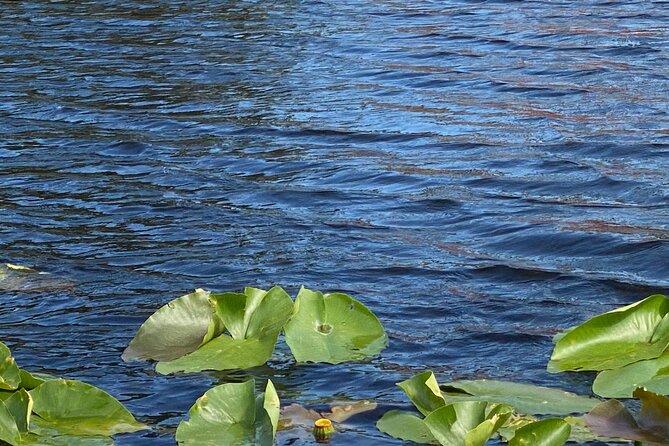 Everglades Airboat Adventure with Roundtrip Bayside Transfer - Final Thoughts: Who Will Love This Tour?