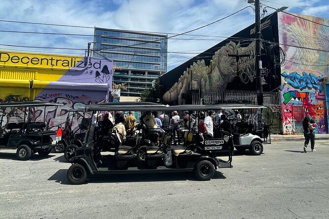 Small-Group Brewery Golf Cart Tour of Wynwood with a Local Guide - An in-depth look at the Wynwood golf cart experience