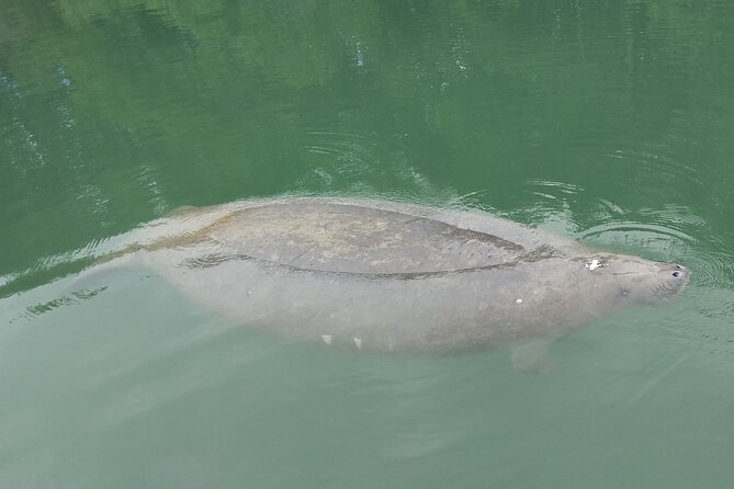 Miami Kayak and Paddleboard Rentals in Virginia Key - Final Thoughts