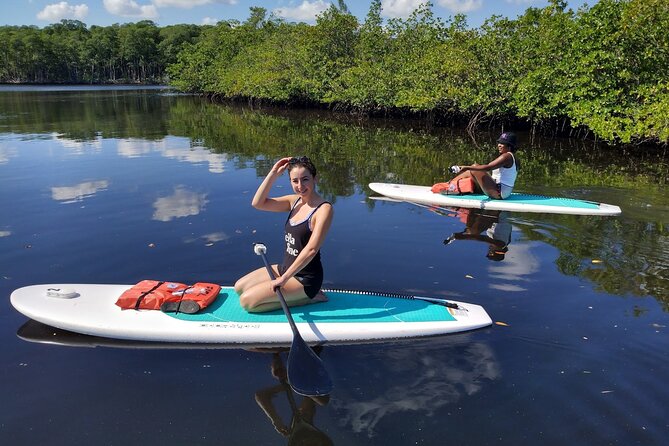 Miami Kayak and Paddleboard Rentals in Virginia Key - An In-Depth Look at Miami Kayak and Paddleboard Rentals in Virginia Key