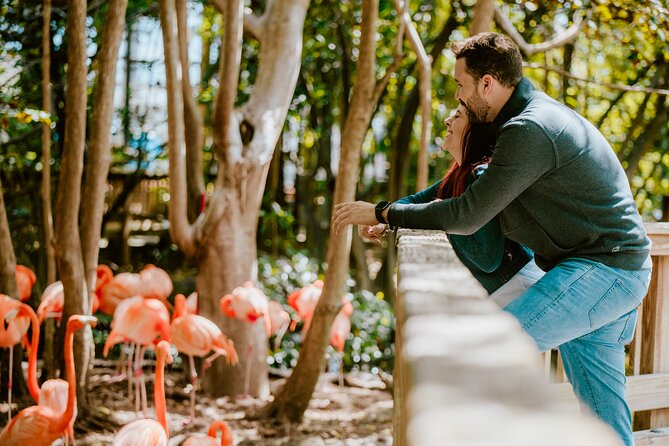 Miami: Jungle Island General Admission Ticket - Good To Know