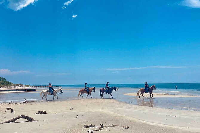 Guided Horseback Riding on The Pristine Waters of Miami Florida - Guided Horseback Riding on The Pristine Waters of Miami Florida: An In-Depth Review