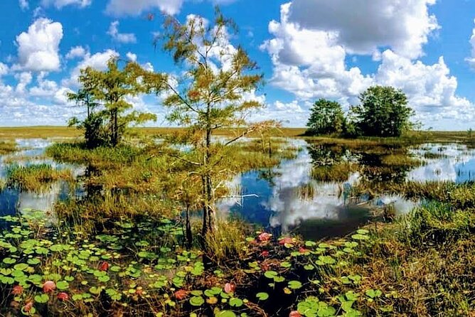 Everglades Tour w/ Biologist Led WET walk + 2 Boat Trips + Lunch! - Exploring the 10,000 Islands: Boat Trip & Wildlife Sighting