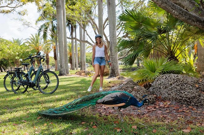 Self Guided E-Bike Tour Key Biscayne Miami's Island Paradise - Who Should Consider This Tour?