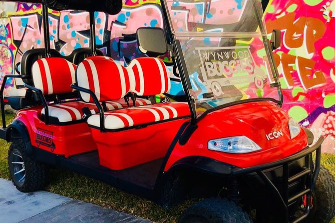 1 Hour WYNWOOD BUGGIES tour - Final Thoughts: Who Will Love This Tour?