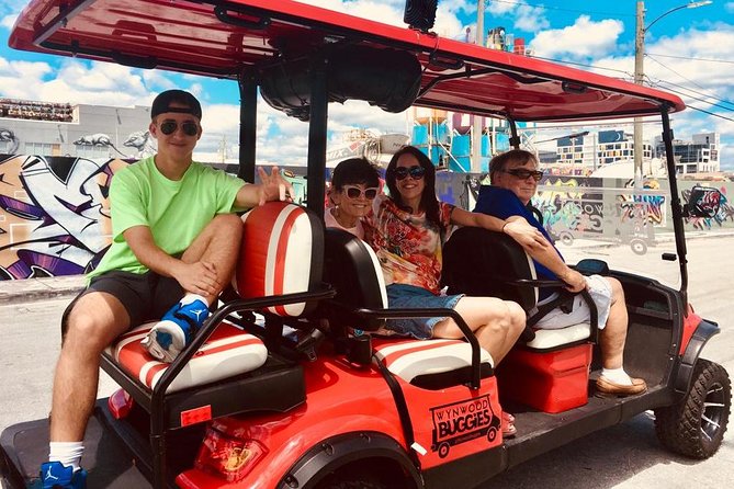 1 Hour WYNWOOD BUGGIES tour - FAQ
