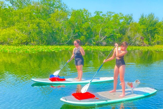 Paddle with Pups in Paradise - Paddleboard or Kayak - Key Points