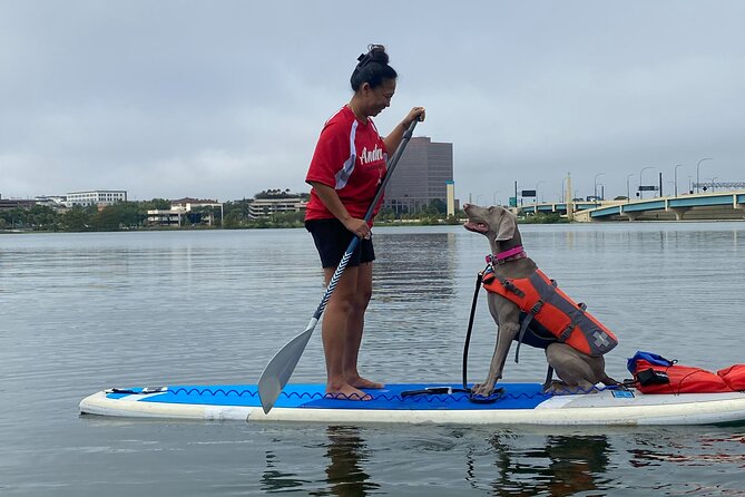 Paddle with Pups in Paradise - Paddleboard or Kayak - Potential Drawbacks and Considerations