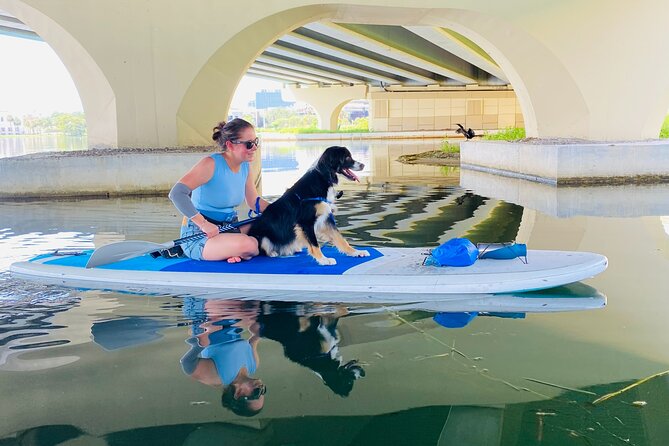 Paddle with Pups in Paradise - Paddleboard or Kayak - Who Would Love This Experience?