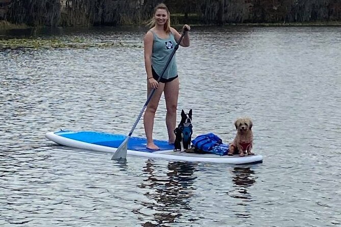 Paddle with Pups in Paradise - Paddleboard or Kayak - Final Thoughts