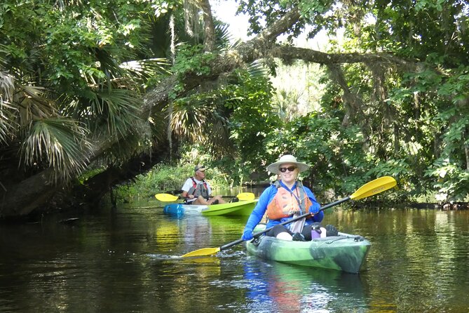 Small Group Scenic Wekiva River Kayak Tour near Orlando - What to Expect on the Wekiva River Kayak Tour