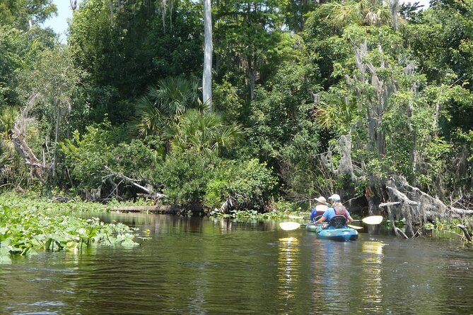 Small Group Scenic Wekiva River Kayak Tour near Orlando - The Sum Up: Is the Wekiva River Kayak Tour Worth It?