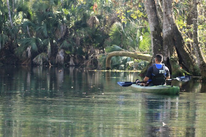 Silver Springs Manatee Kayak Tour - Pricing and Value