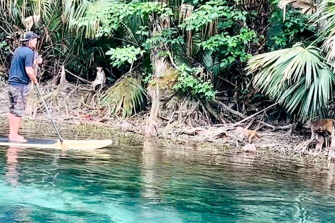 Manatees, Monkeys and Florida Natural Spring Adventure Tour - Final Thoughts: Is This Tour for You?