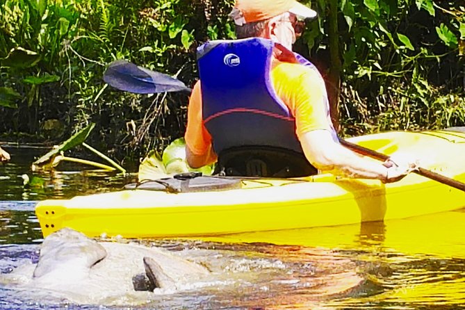 Wekiva River Guided Kayak Tour - The Value of the Experience
