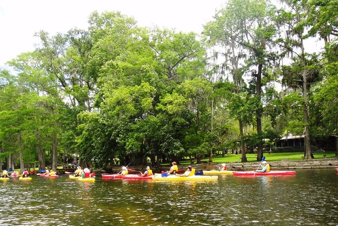 Wekiva River Guided Kayak Tour - Who Would Enjoy This Tour?