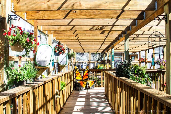 30-Minute Airboat Ride near Orlando - FAQ