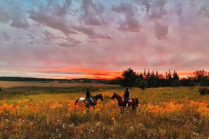 Sunset Trail Ride and Campfire Experience at Rock Springs - Who Will Enjoy This Tour?