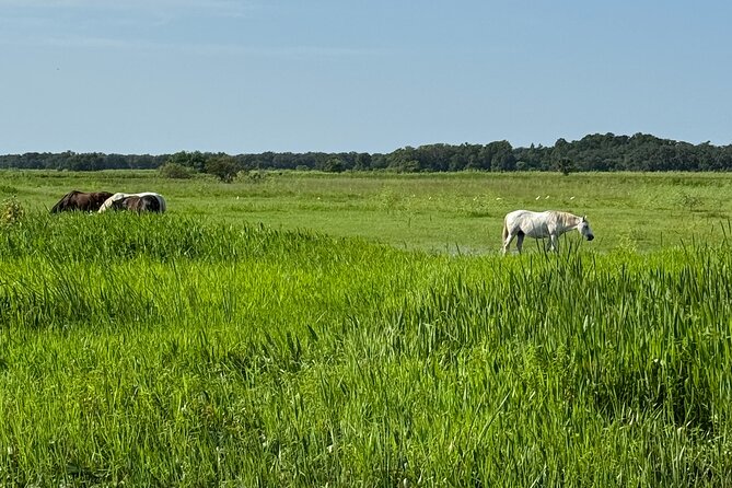 90 Minute Airboat Tour in the Florida Everglades - Who Will Appreciate This Tour?