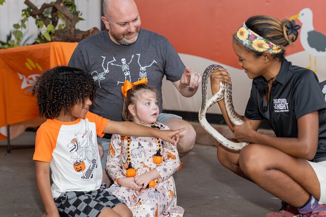 Creatures of the Night - ZooTampa at Lowry Park - Practical Tips for Visiting