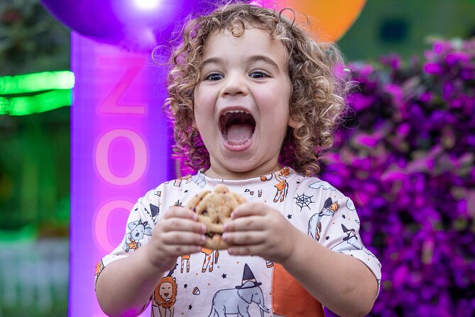 Creatures of the Night - ZooTampa at Lowry Park - A Closer Look at the Experience