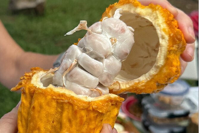 Exotic Fruit Tasting Tour in Kona - Who Should Consider This Tour?