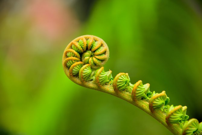 Volcano National Park Adventure from Waikoloa - FAQ