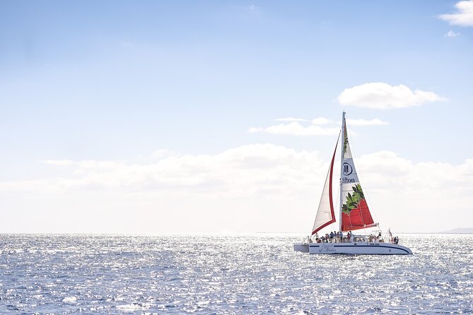 Waikoloa Turtle Catamaran Snorkel Sail - Good To Know