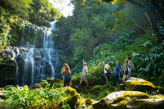 Kohala Waterfalls Small Group Adventure Tour - Exploring the Big Island’s Waterfalls and Scenic Highlights