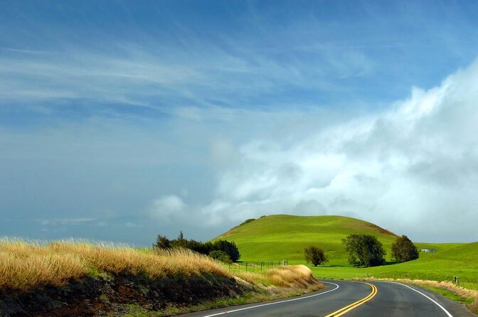 Kohala Waterfalls Small Group Adventure Tour - Kohala Waterfalls Small Group Adventure Tour: A Detailed Review
