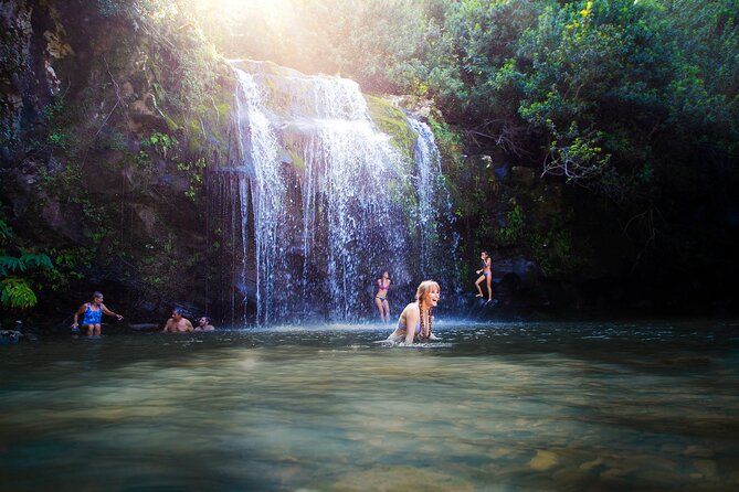 Private Ohana Kohala Waterfalls Adventure - Key Points