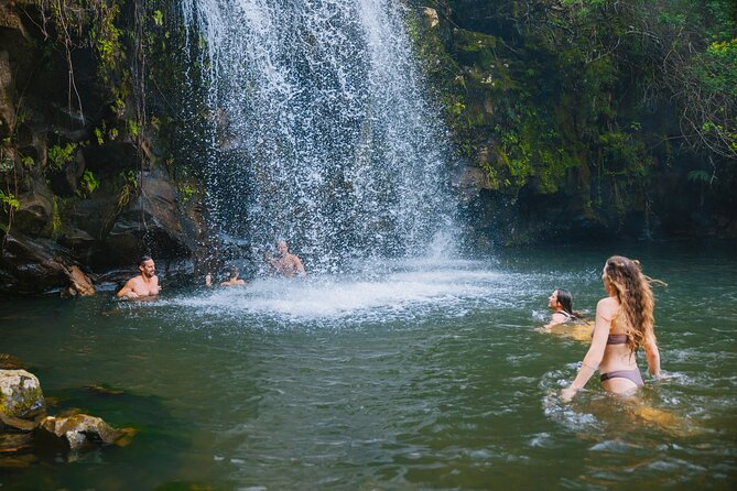 Private Ohana Kohala Waterfalls Adventure - The Sum Up