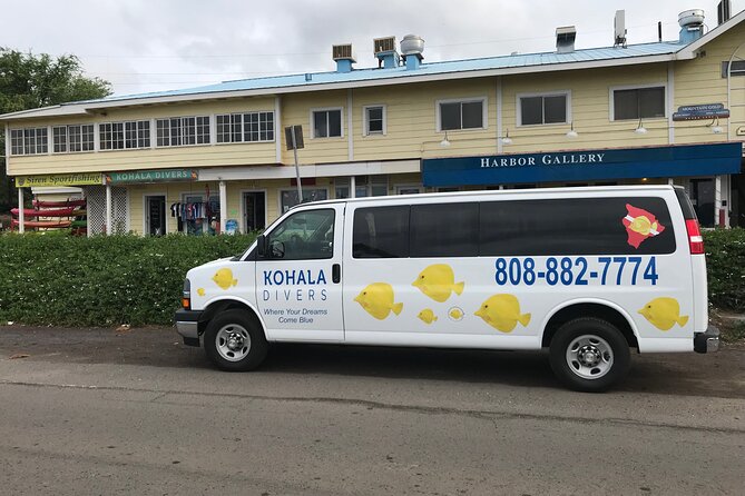 Sunset Whale Watching Shared Activity - A Deep Dive into the Whale Watching Adventure