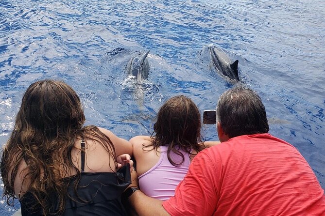 2.5 Hour Morning Snorkel - Key Points