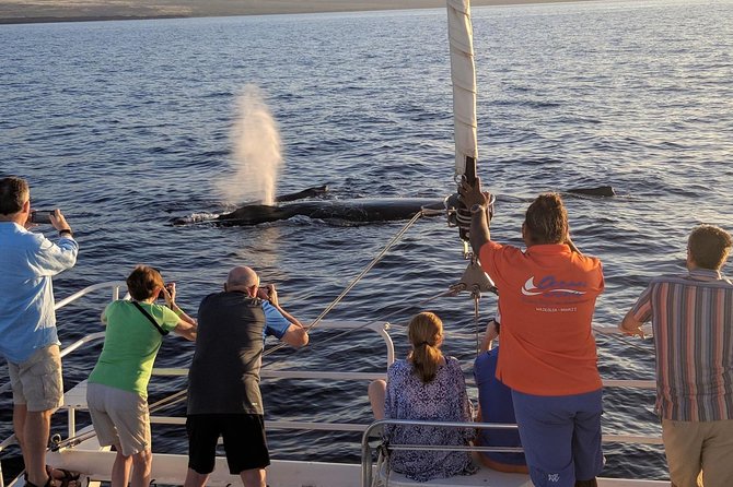 Sunset Cruise with the Whales from Anaeho'omalu Bay - Who Would Love This Tour?
