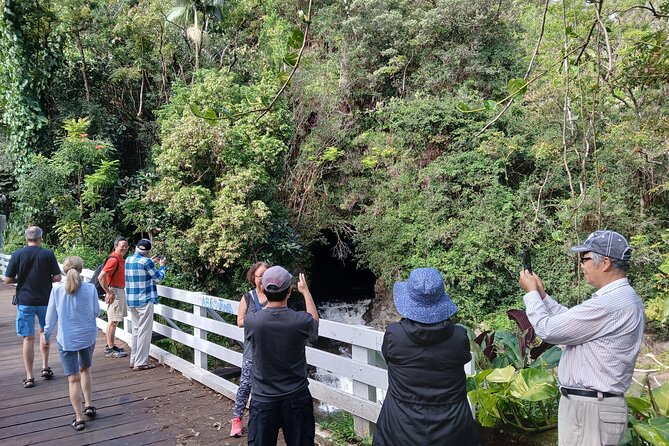 Private Hilo Shore Excursion Volcano National Park up to 14 - The Sum Up