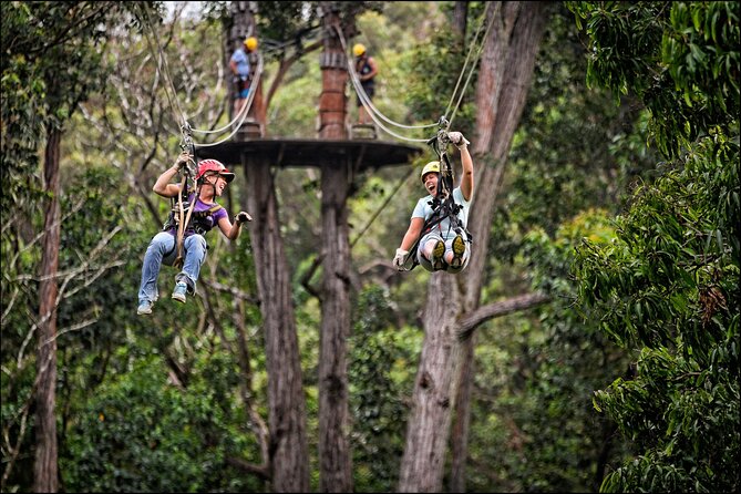 Big Island Kohala Zip and Dip Tour from Kona - Frequently Asked Questions