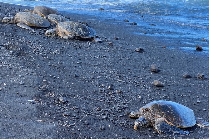 Private Customized Big Island Adventure Tour (4-6 Hours) - FAQ