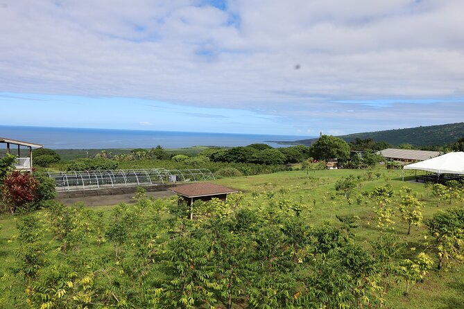 Kona Coffee Farm Tour from Tree to Tasting Room - Practical Details and What You Should Know