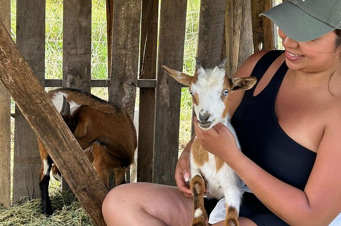 Bottle Feed & Cuddle Baby Goats Tour on Big Island Farm - Who Will Love This Experience?
