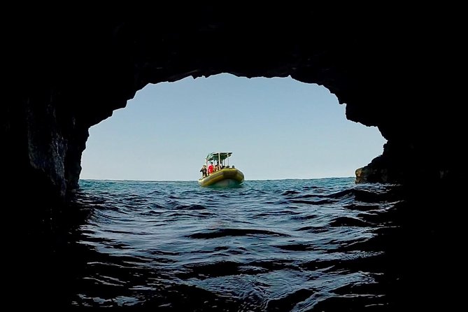 Small Group Snorkeling Expedition South Kona - The Sum Up: The Best of Hawaii Underwater