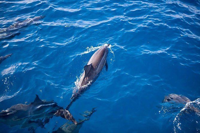 Na Pali Sunset & Sightsee Boat Tour - FAQs