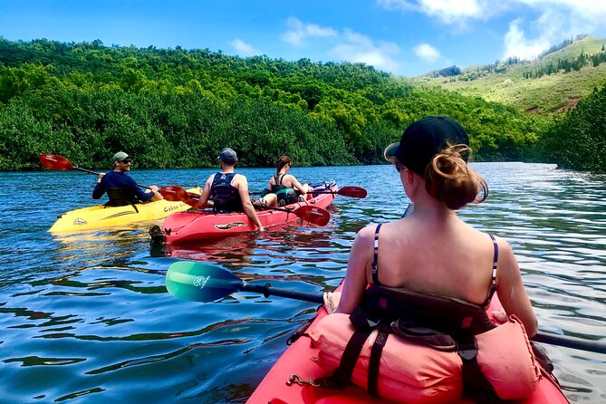 Kauai Adventure: Kayak & Hike to Secret Falls with Expert Guide - Detailed Breakdown of the Itinerary