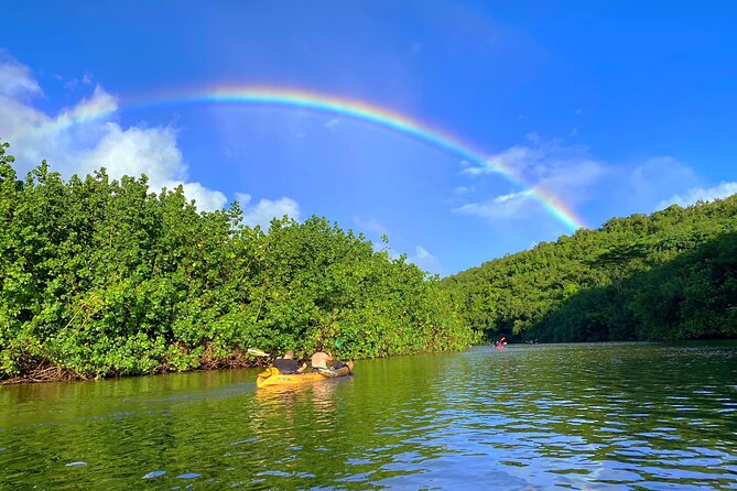 Kauai Adventure: Kayak & Hike to Secret Falls with Expert Guide - Why This Tour Is Worth the Price