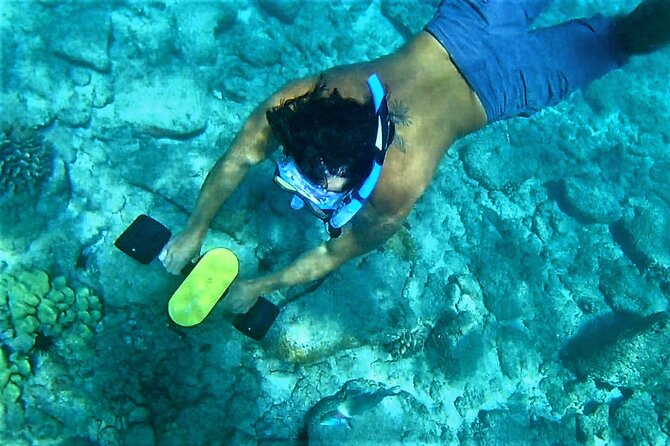 Sensational Sea Scooter Rentals - Who Would Love This Tour?