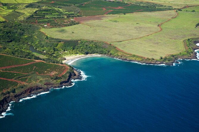 Kauai Airplane Tour: Na Pali Coast, Waterfalls & Window Seats - Who Should Consider This Tour?