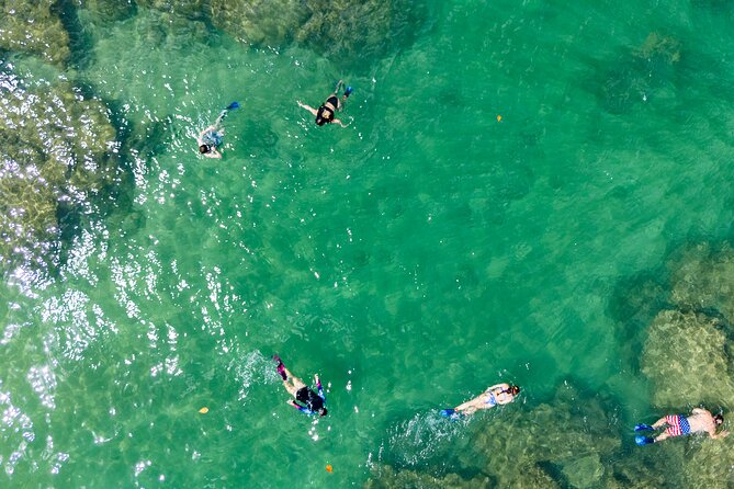 Hanalei River Paddle and Bay Snorkel Tours (LUNCH INCLUDED) - Frequently Asked Questions