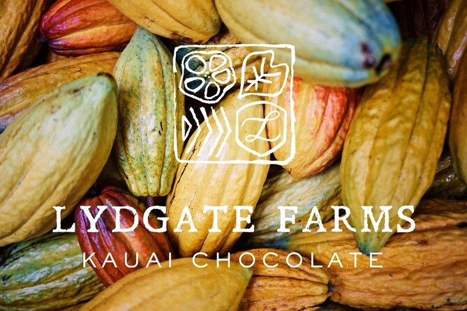Kauai Chocolate Farm Tasting Tour - Why You Should Consider This Tour