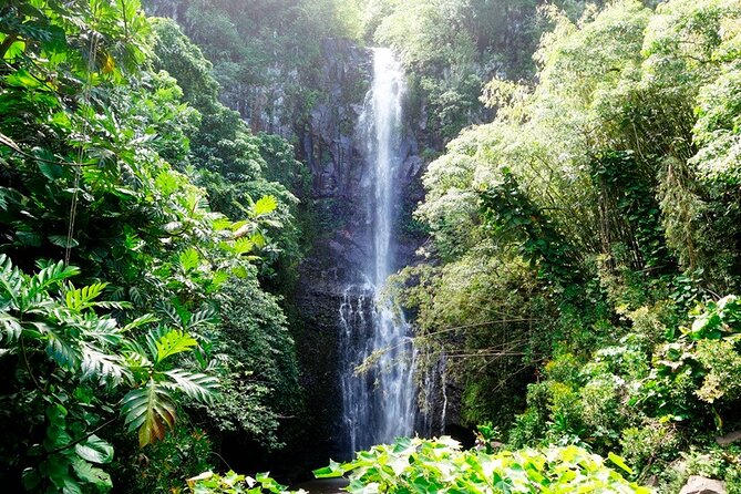 Road to Hana Rainforest, Black Sand Beach, Waterfalls & Lunch - Who Would Enjoy This Tour?
